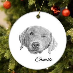 Personalized Pet Ornament Christmas Pet Face and Name Ornaments Gift for Pet Lovers
