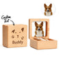 Example personalised engraving styles on a walnut pet memorial box – custom text options for a lasting keepsake