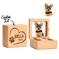 Hand-crafted walnut pet fur keepsake box presented as a memorial gift with smooth natural finish – thoughtful condolence present