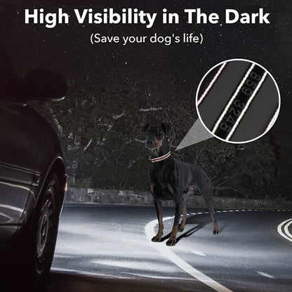 Personalised reflective dog collar with custom name and phone number on high‑density nylon featuring a reflective strip for night visibility