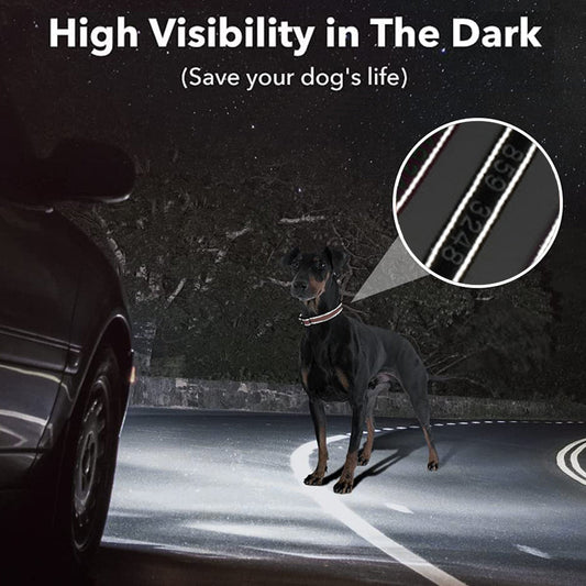 Personalised reflective dog collar with custom name and phone number on high‑density nylon featuring a reflective strip for night visibility