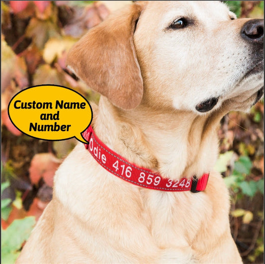 Personalised reflective dog collar with custom name and phone number on high‑density nylon featuring a reflective strip for night visibility