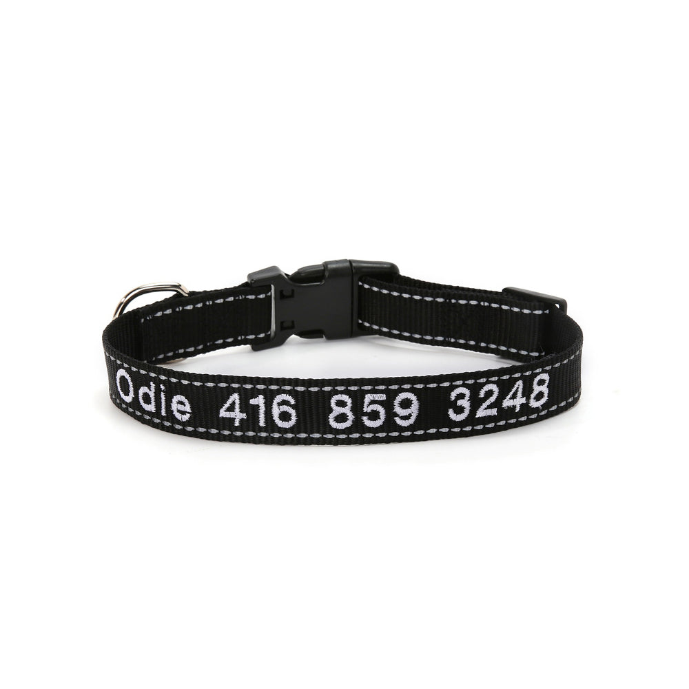 Close up of personalised reflective dog collar showing buckle, D‑ring and reflective stitching on durable nylon