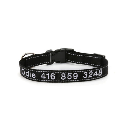 Close up of personalised reflective dog collar showing buckle, D‑ring and reflective stitching on durable nylon