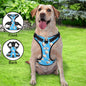 Lifestyle shot of personalised no-pull reflective dog harness on dog — breathable vest for comfortable daily walks and training