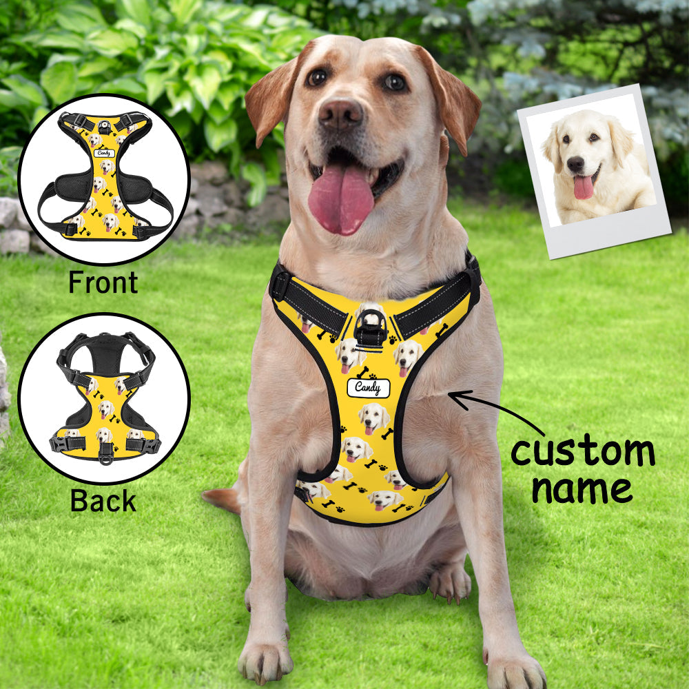 Lifestyle shot of personalised no-pull reflective dog harness on dog — breathable vest for comfortable daily walks and training