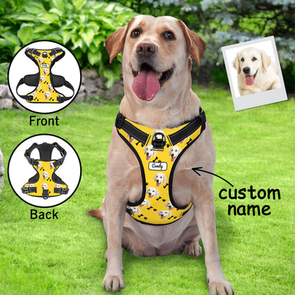 Lifestyle shot of personalised no-pull reflective dog harness on dog — breathable vest for comfortable daily walks and training