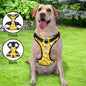 Lifestyle shot of personalised no-pull reflective dog harness on dog — breathable vest for comfortable daily walks and training
