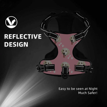 Harness features shown: reinforced stitching, breathable fabric and reflective trimming on personalised no-pull vest