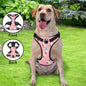 Demonstration of harness adjustment points — four adjustable straps on personalised breathable no-pull reflective vest for perfect fit