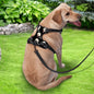 Detailed view of reflective strip and mesh fabric on personalised no-pull harness for enhanced visibility day and night