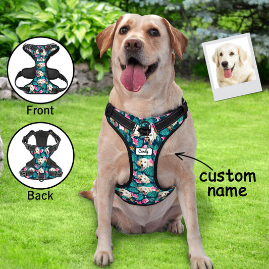 Dog wearing Custom Hawaiian Harness on a walk — breathable, adjustable reflective no-pull vest designed to reduce pulling and improve day and night visibility