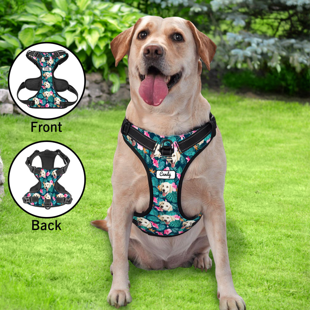 Dog wearing Custom Hawaiian Harness on a walk — breathable, adjustable reflective no-pull vest designed to reduce pulling and improve day and night visibility