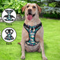 Dog wearing Custom Hawaiian Harness on a walk — breathable, adjustable reflective no-pull vest designed to reduce pulling and improve day and night visibility
