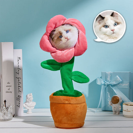 Custom Photo Dancing Plant Recording Music Sunflower Toy
