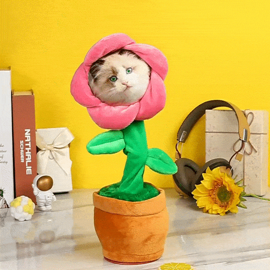 Custom Photo Dancing Plant Recording Music Sunflower Toy