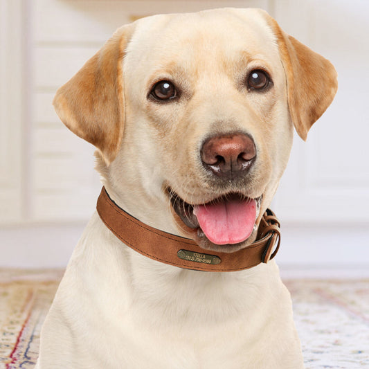 Custom engraved leather dog collar in tan showing personalised name and phone number — soft, durable and stylish personalised dog collar