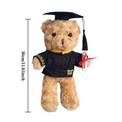 Graduation bear displayed on a shelf wearing a custom embroidered robe, commemorative keepsake for family and friends