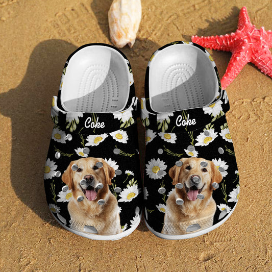 Top view of personalised pet portrait clogs showing a funny pet face print and customised name — comfy slip-on pet slippers