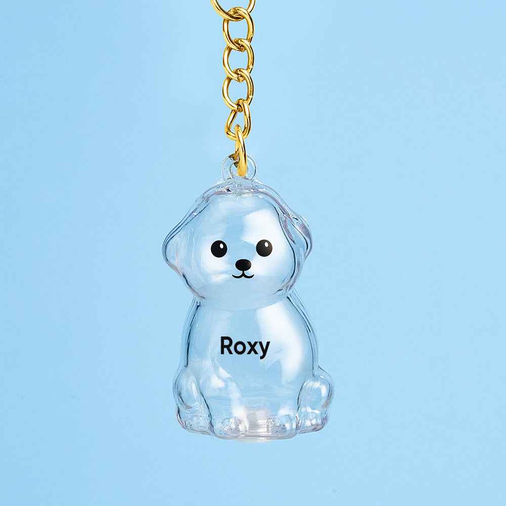 Custom Name Dog Hair Collector Keychain Bag Charm Memorial Storage Box with Text Perfect for Storing Pet Hair Gift for Dog Lovers