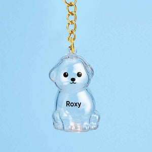 Custom Name Dog Hair Collector Keychain Bag Charm Memorial Storage Box with Text Perfect for Storing Pet Hair Gift for Dog Lovers