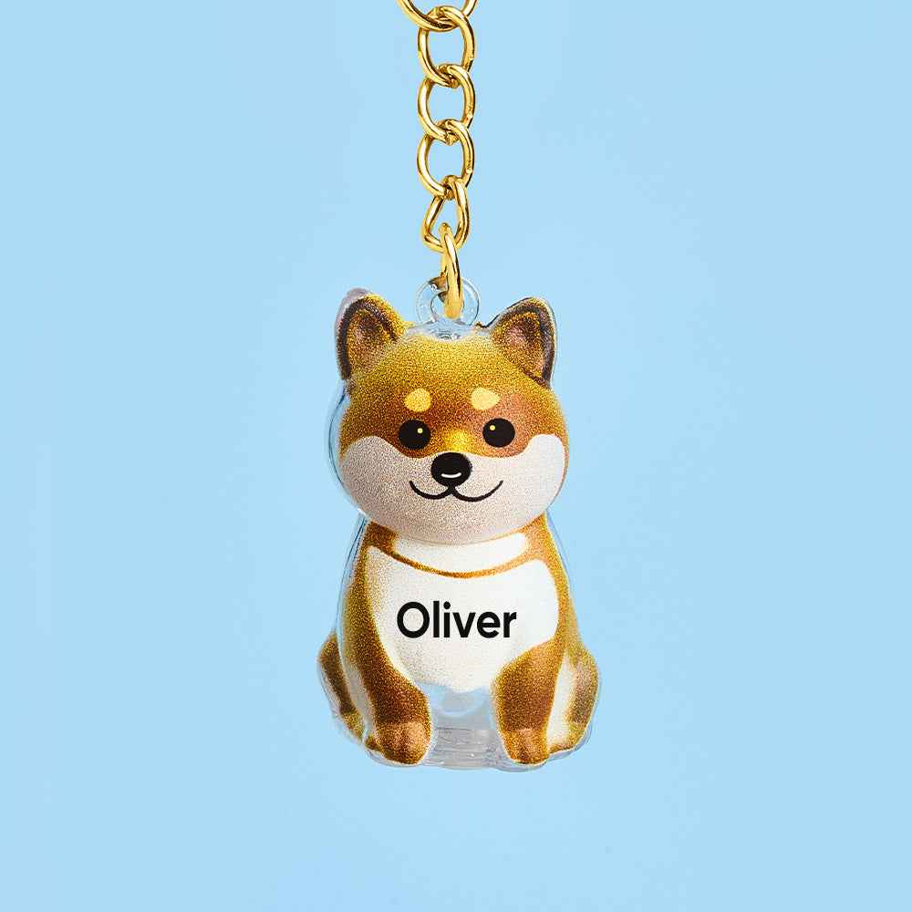 Custom Name Dog Hair Collector Keychain Bag Charm Memorial Storage Box with Text Perfect for Storing Pet Hair Gift for Dog Lovers