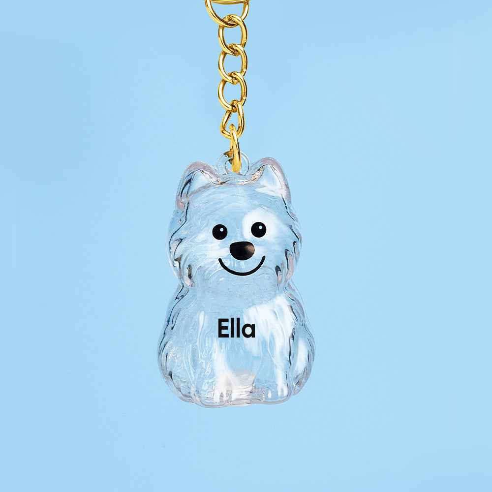 Custom Name Dog Hair Collector Keychain Bag Charm Memorial Storage Box with Text Perfect for Storing Pet Hair Gift for Dog Lovers