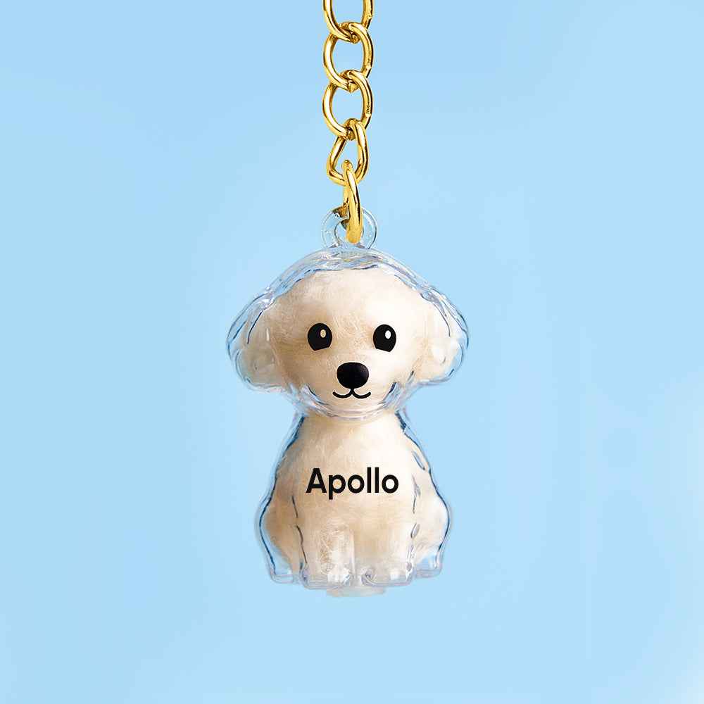 Custom Name Dog Hair Collector Keychain Bag Charm Memorial Storage Box with Text Perfect for Storing Pet Hair Gift for Dog Lovers