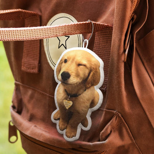 Personalised pet pillow keyring showing a custom pet photo and name printed on a plush 10cm spun polyester cushion with metal split ring — perfect photo keychain for pet lovers