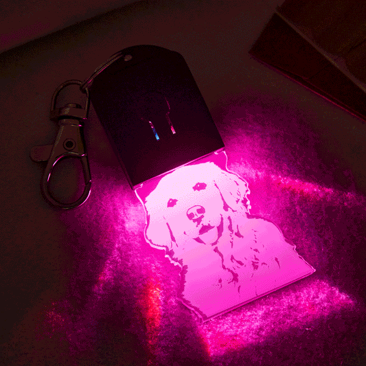 Custom Photo Keychain | Colourful LED Personalised Keyring