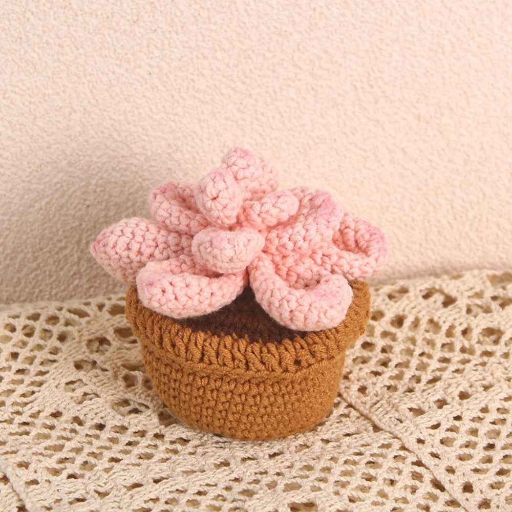 Succulent Crochet Potted Plants Completed Hand Woven Knitted Potted Plants Gift for Handicraft Lover