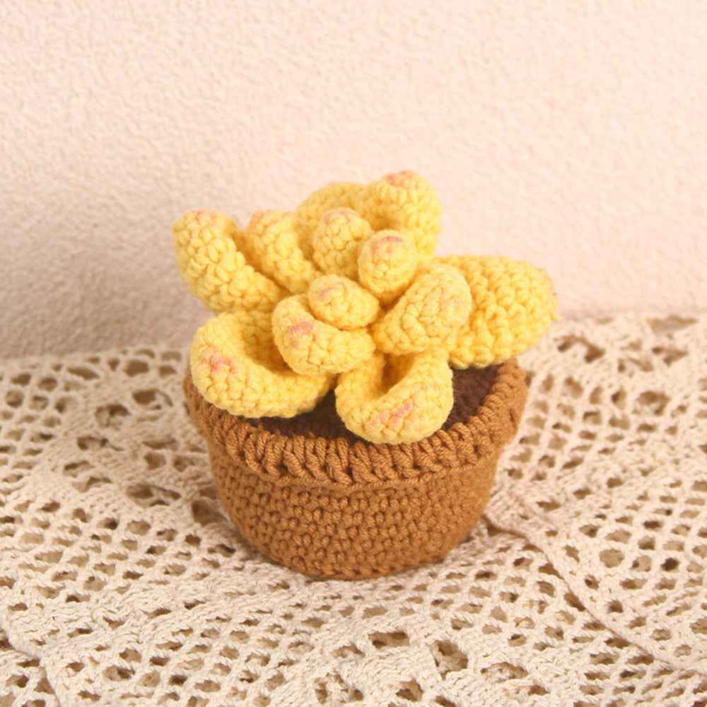 Succulent Crochet Potted Plants Completed Hand Woven Knitted Potted Plants Gift for Handicraft Lover