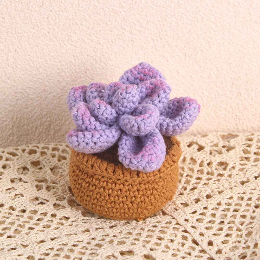 Succulent Crochet Potted Plants Completed Hand Woven Knitted Potted Plants Gift for Handicraft Lover