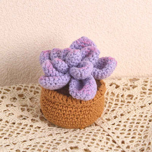Succulent Crochet Potted Plants Completed Hand Woven Knitted Potted Plants Gift for Handicraft Lover
