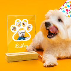 Personalised Engraved Dog Paw Photo Night Light With Name - Customisable Pet Memorial Gift