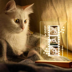 Custom Cat Photo Lamp as Cat Lover Gift Personalized Gift Photo Pet Portrait Bedside Lamp Night Light