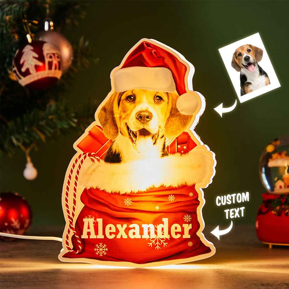 Personalized Pet Night Light Custom Photo Christmas Gift Basket Lamp