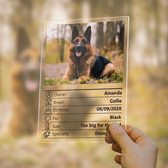 Customized Photo Clear Plaque Personalized Pet Information Acrylic Desktop Decoration