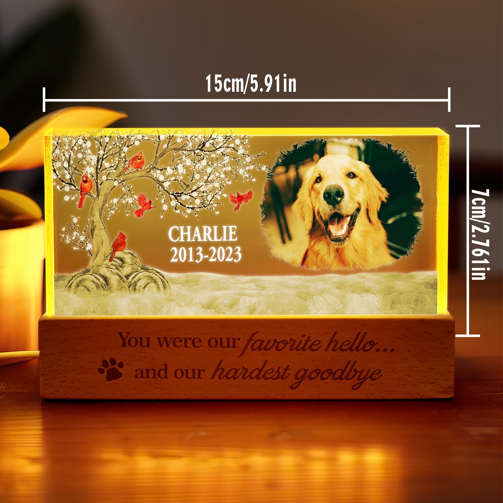 Unlit personalised pet photo night light beside living room decor showing crisp photo engraving — custom acrylic keepsake, 15cm x 7cm