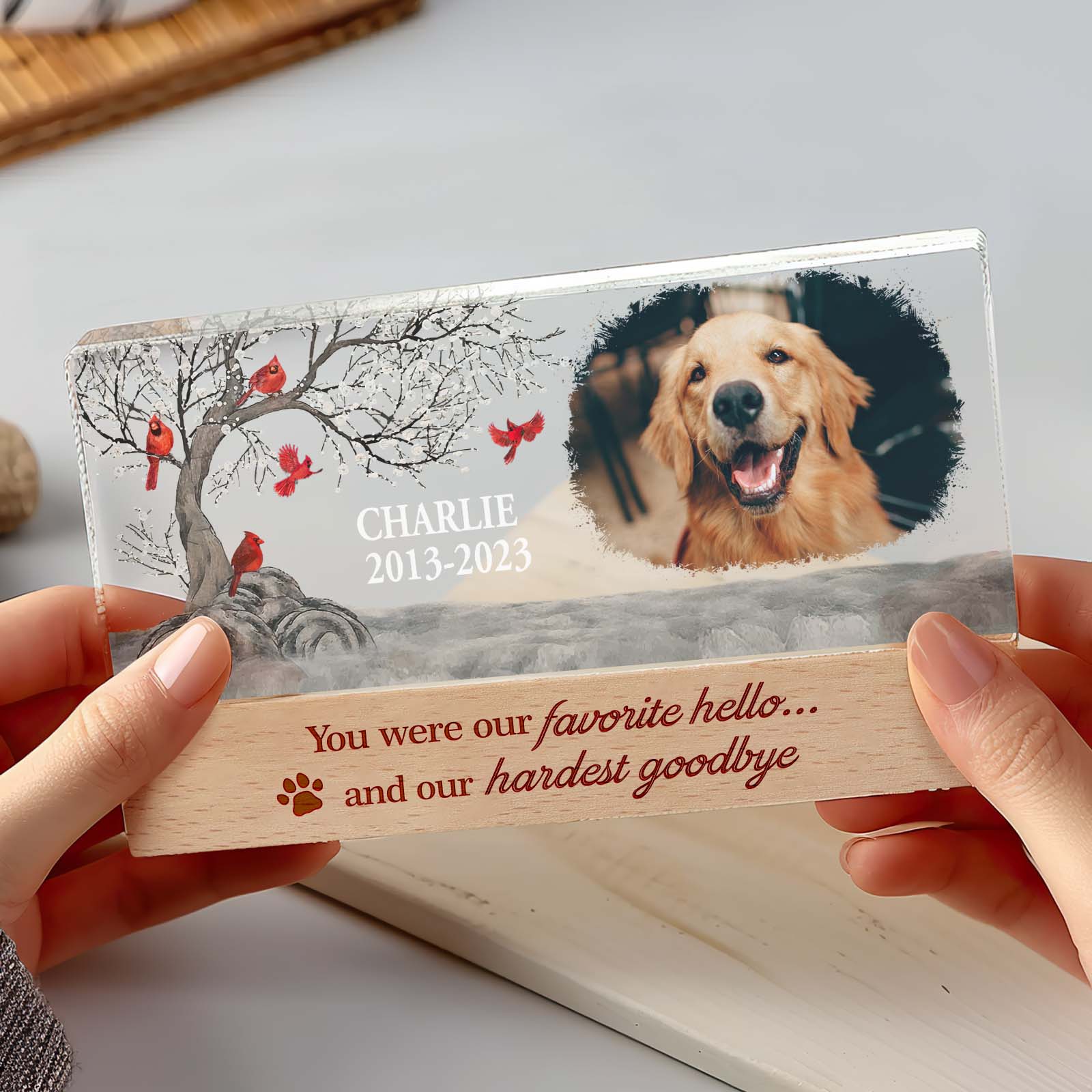 Custom pet memorial light on a bedside table emitting a warm, gentle glow — personalised acrylic photo night light ideal as a memorial gift for pet mums