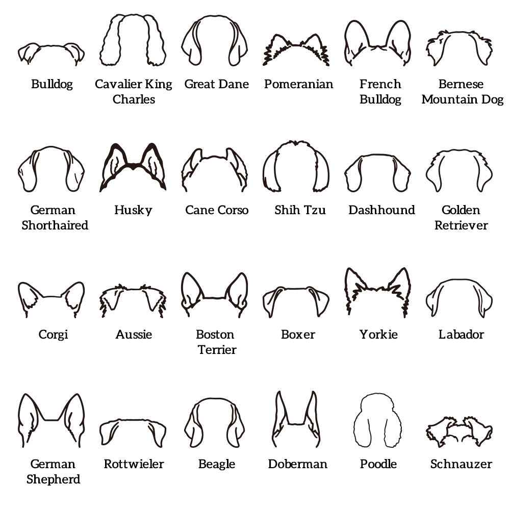 Custom Dog Ear Sweatshirt Personalized Embroider Dog Hoodie Gift for Dog Lovers