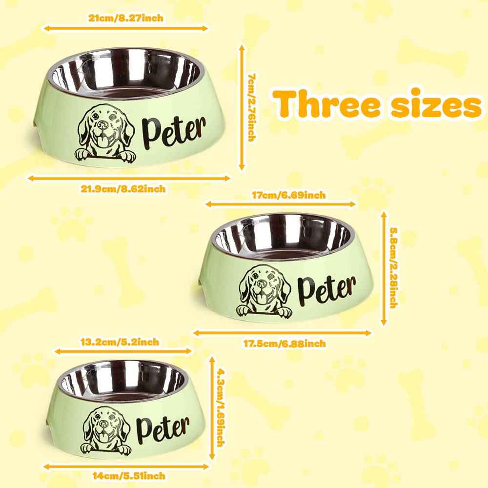Personalized Pet Bowl Stainless Steel Dog Food Water Bowl Feeding Supplies Gift for Pet Owner