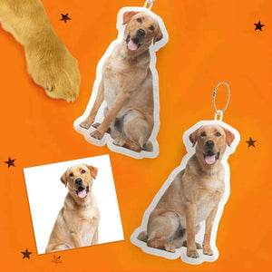 Custom Shaped Pillow Personalized Pet or Loved One in Full Body or Head Design Unique Gift for Home & Heart