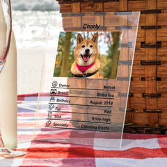 Custom Photo Acrylic Plaque Personalized Pet Information Desk Decorative Ornaments - 12*16cm