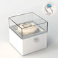 Hand presenting the Bear Cake Ring Box to a partner — perfect for surprise proposals, anniversaries and gifts for wife